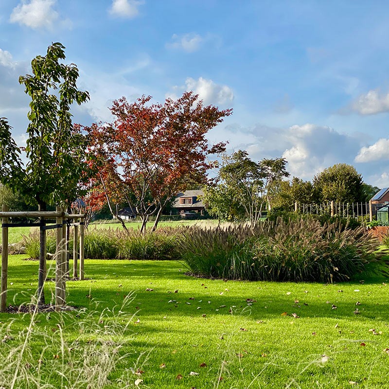 Réalisation d’un jardin haut de gamme à Saint-Denis