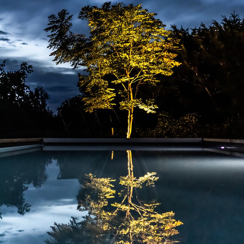 Aménagement d’un jardin privé à Champion