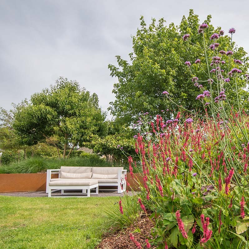 Visiter le jardin témoin de FC Paysagiste